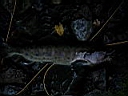 2006-09-08 013.JPG